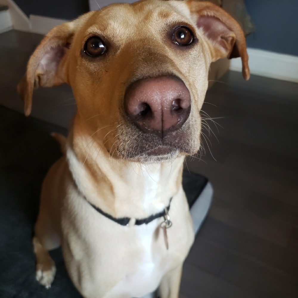 Meet your Posher, Angela